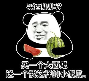 Word文档图片