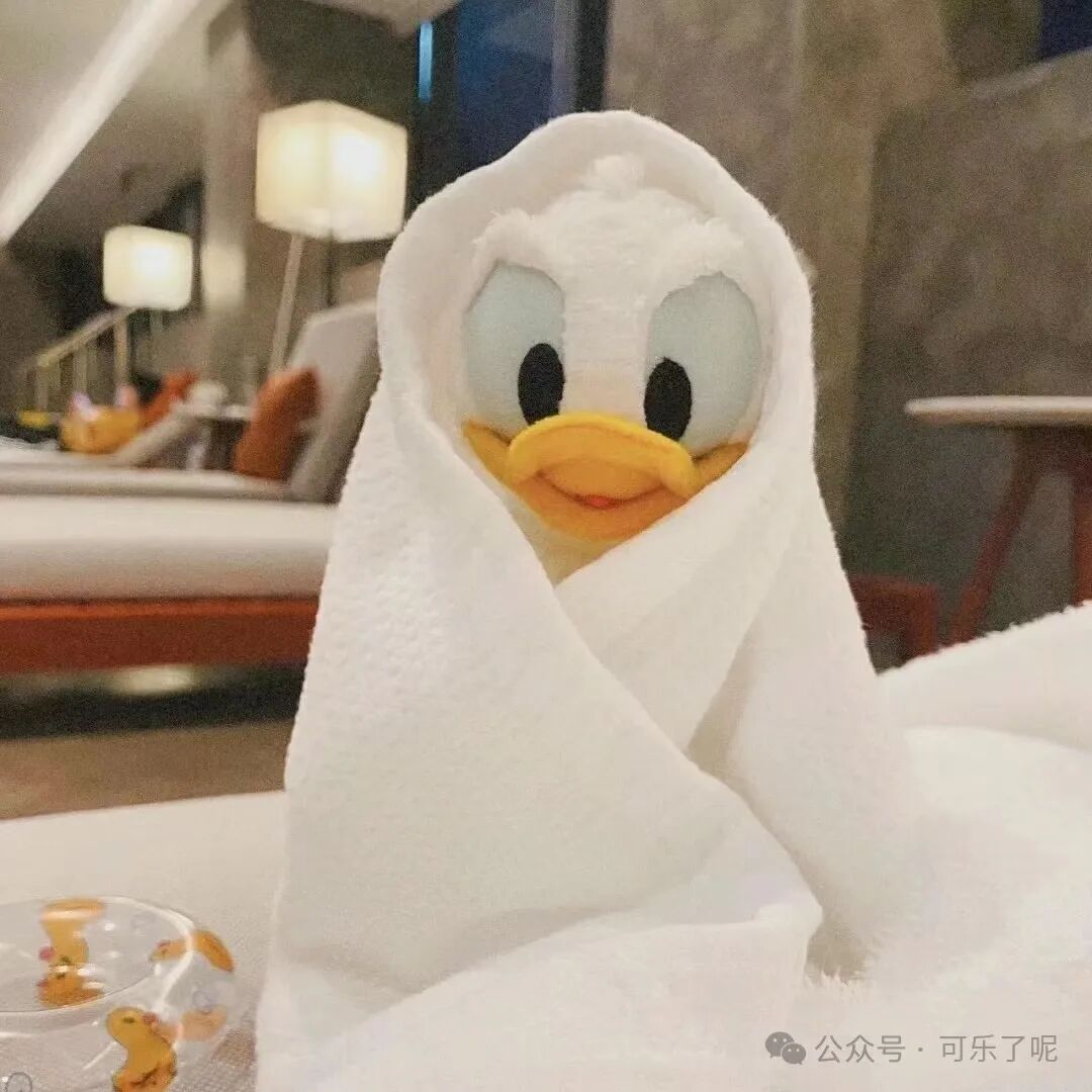 Word文档图片