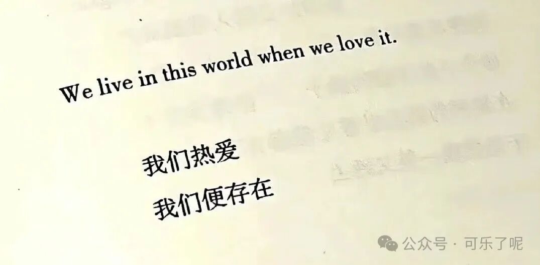 Word文档图片