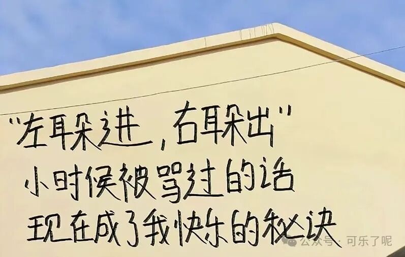 Word文档图片