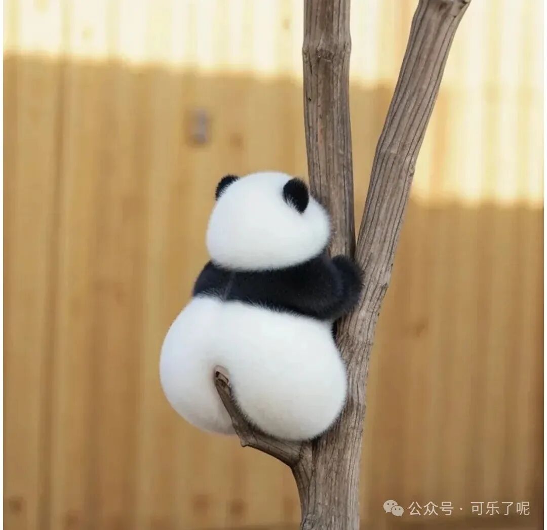 Word文档图片