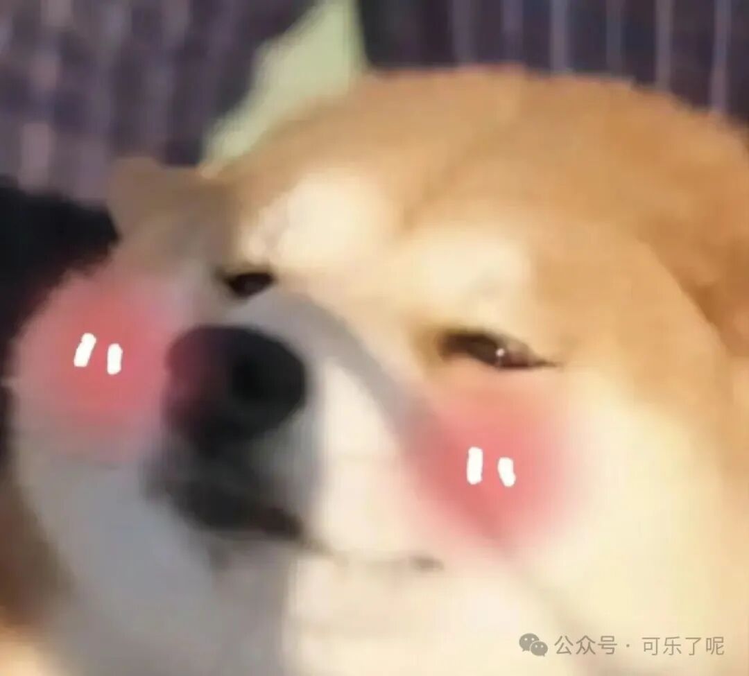 Word文档图片