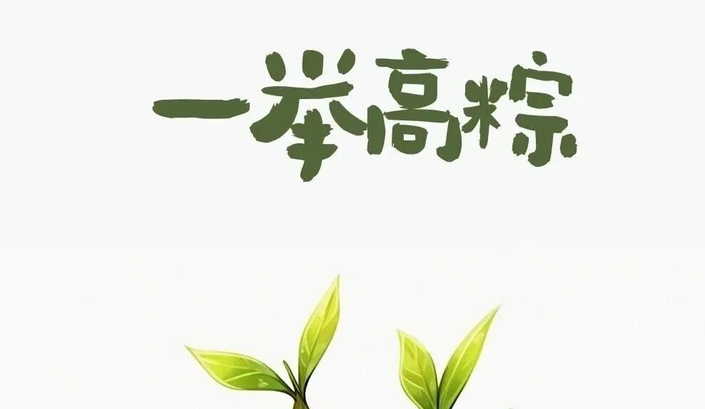 Word文档图片