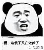 Word文档图片