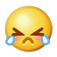 Word文档图片