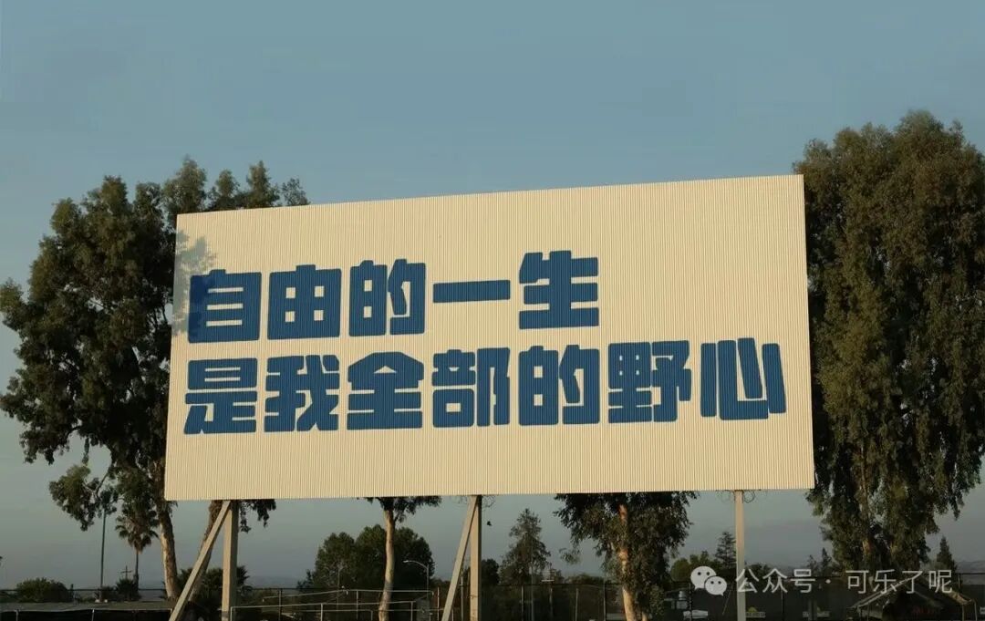 Word文档图片