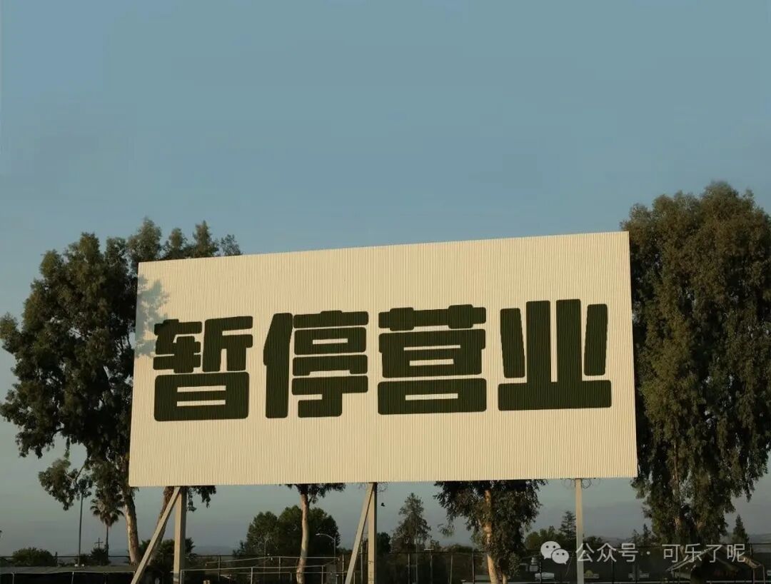 Word文档图片