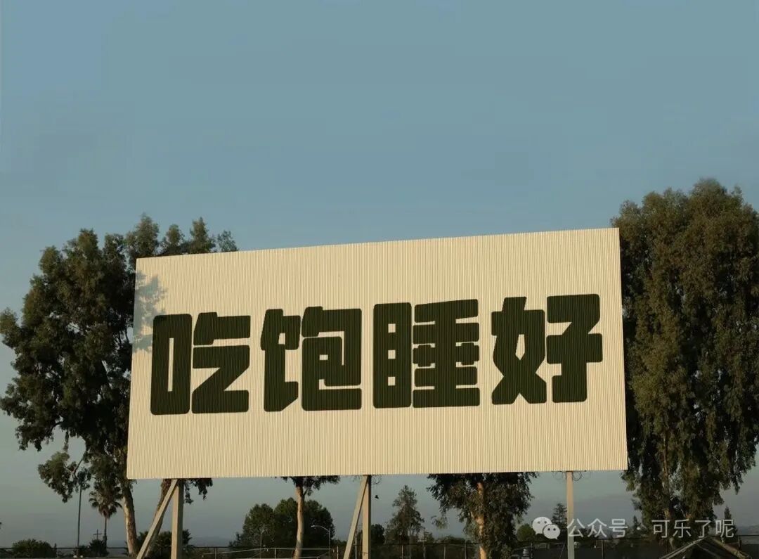 Word文档图片