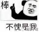 Word文档图片