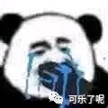 Word文档图片